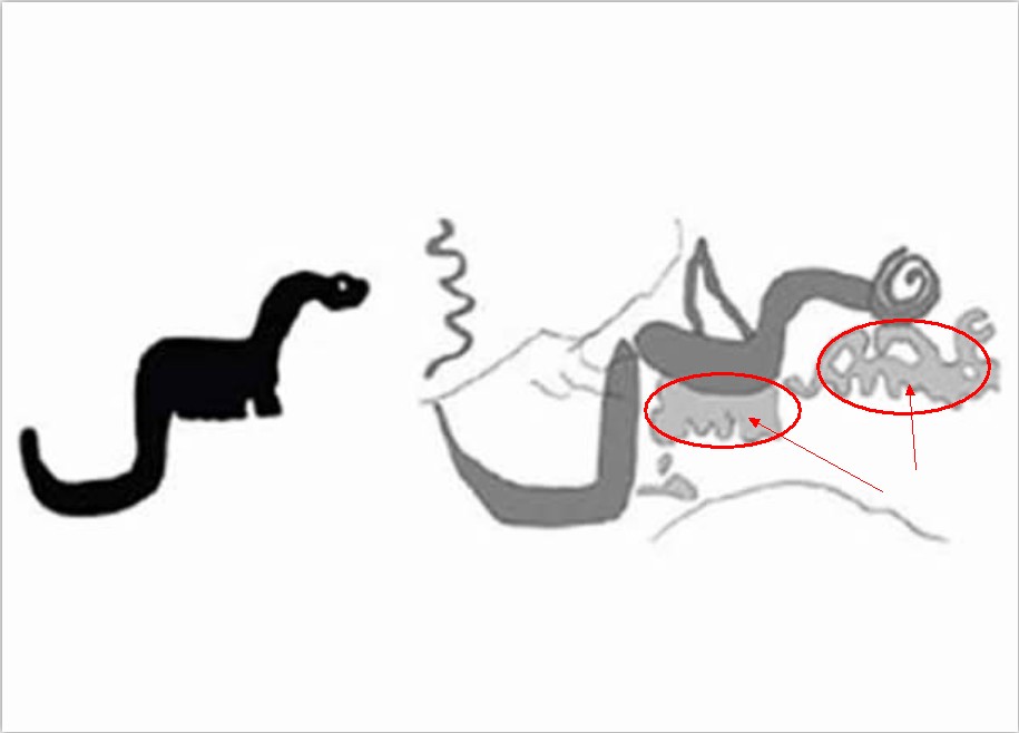 古人恐龙壁画绘图分解